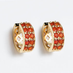 Prism - Carnelian Pave Horseshoe Earring