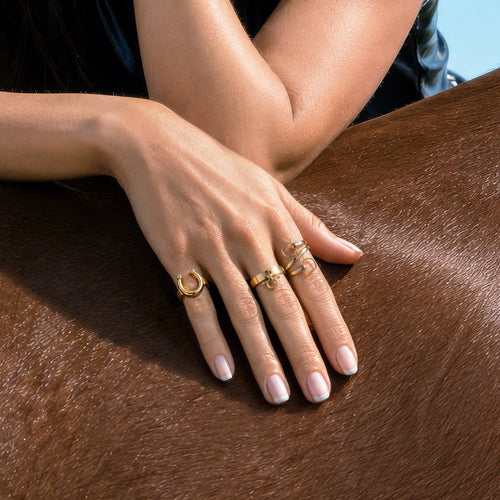 Sandro - Equestrian Horse Bit Spiral Ring in Gold