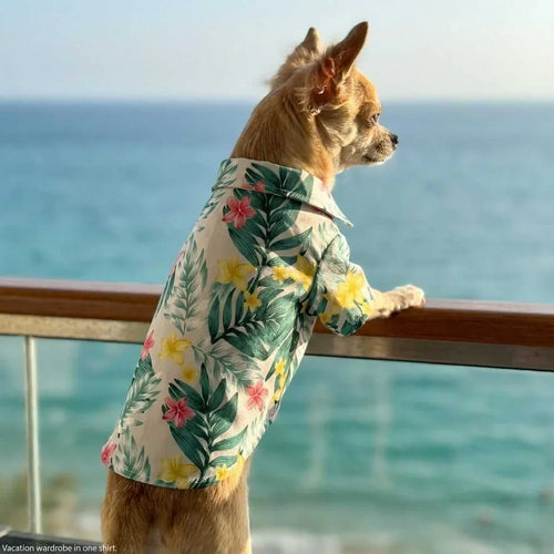 Hawaiian Pet Beach Shirt – Tropical Print Summer Outfit